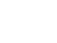 Valorant Logo